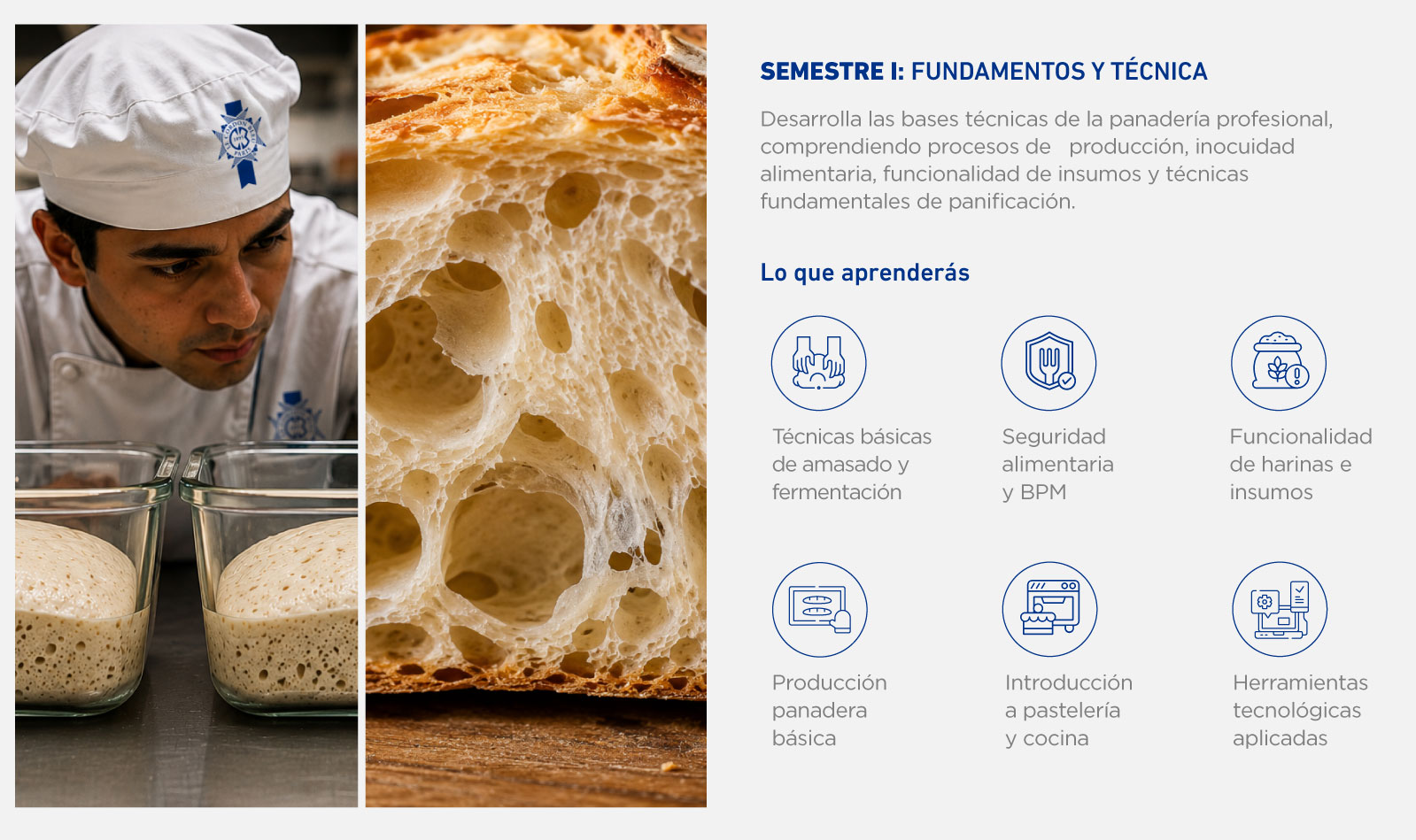 semestre-1-panaderia.jpg.jpeg