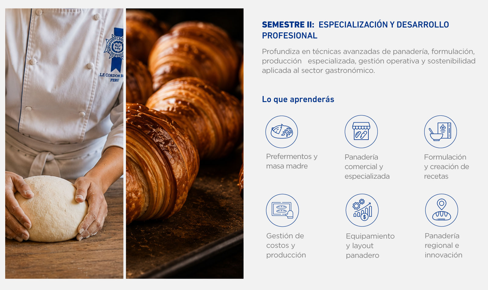 semestre-2-panaderia.jpg.jpeg
