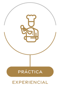 practica-experiencial